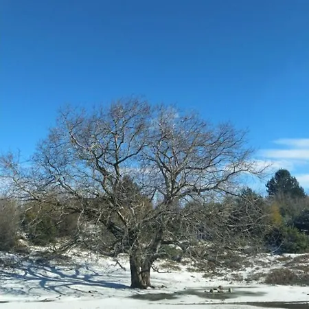 Panoramic Escape Bami Krujë